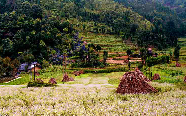 Những điều cần lưu ý khi đi du lịch Hà Giang một mình